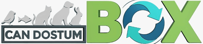 Can Dostum Box Logo